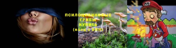 прущий лед Струнино