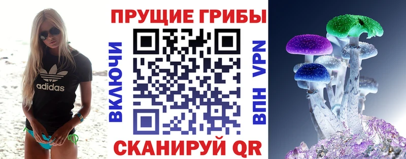 Галлюциногенные грибы мицелий  кракен зеркало  Георгиевск 