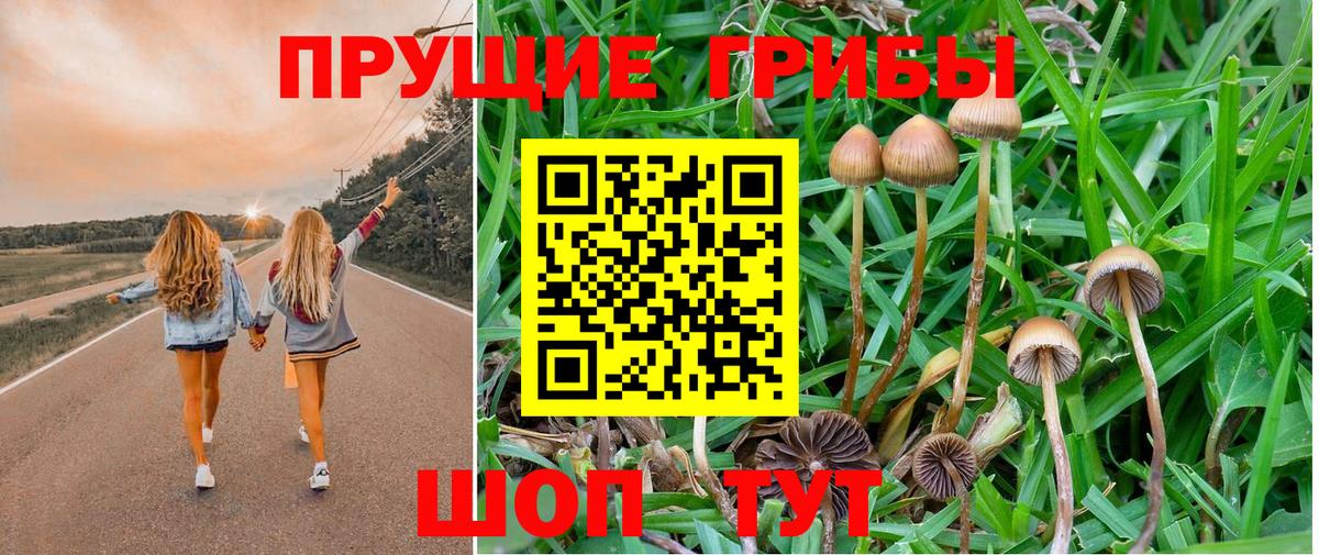 Галлюциногенные грибы прущие грибы Георгиевск