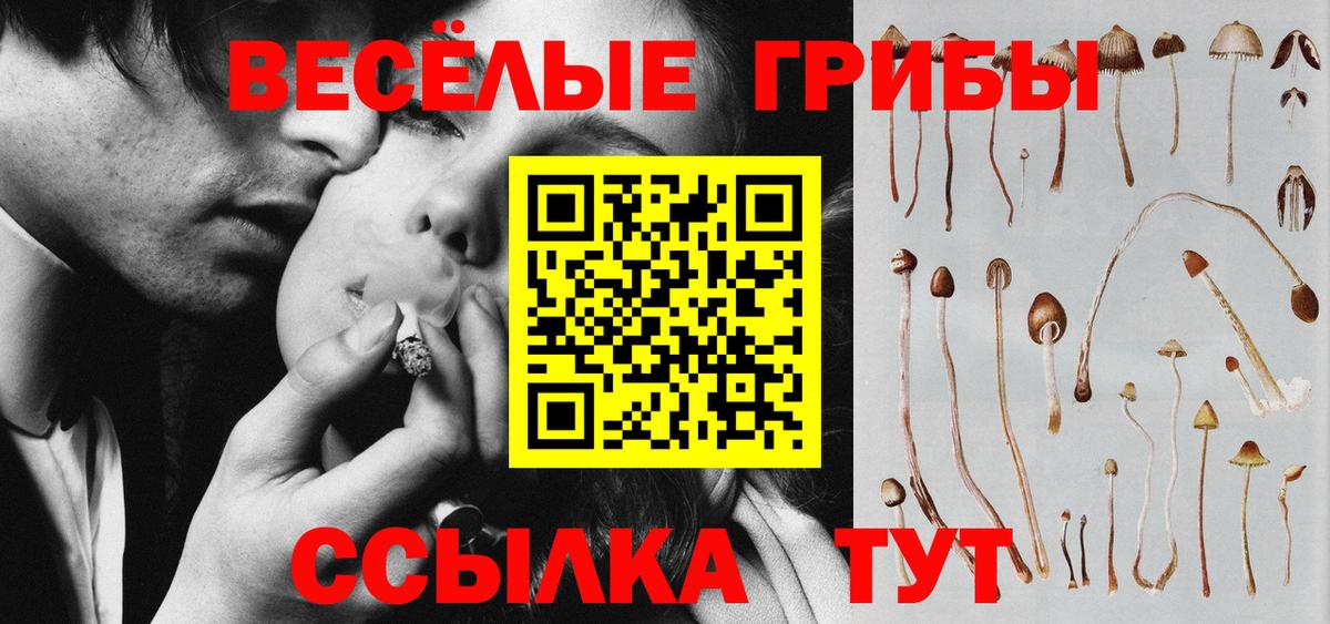 Псилоцибиновые грибы Psilocybine cubensis  Вход с VPN  Георгиевск 