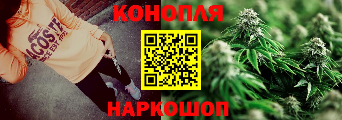 Бошки марихуана конопля Георгиевск